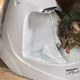 PetSafe Drinkwell Platinum Cat and Dog Water Fountain | $36 | Amazon